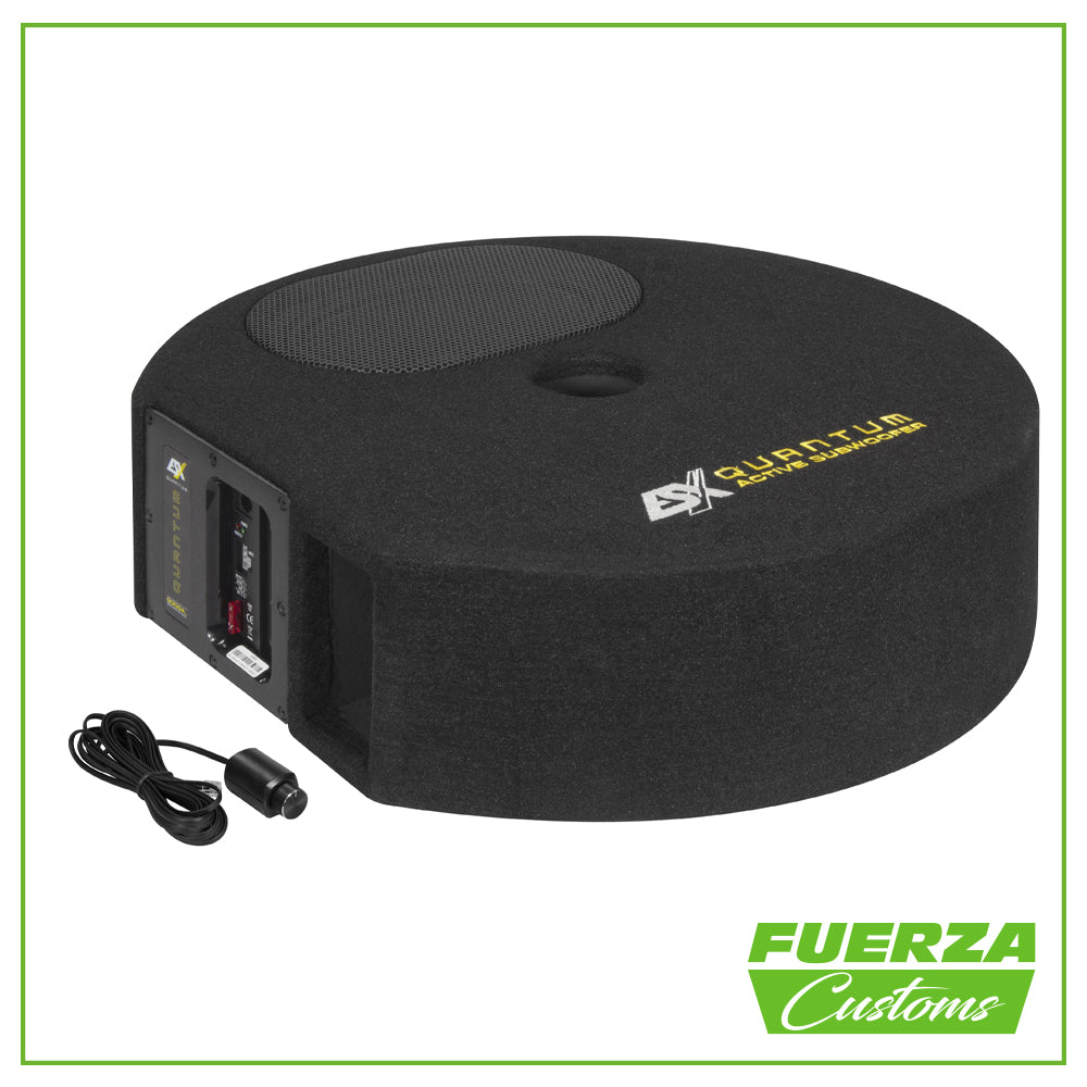 ESX Q300A 2 Active subwoofer