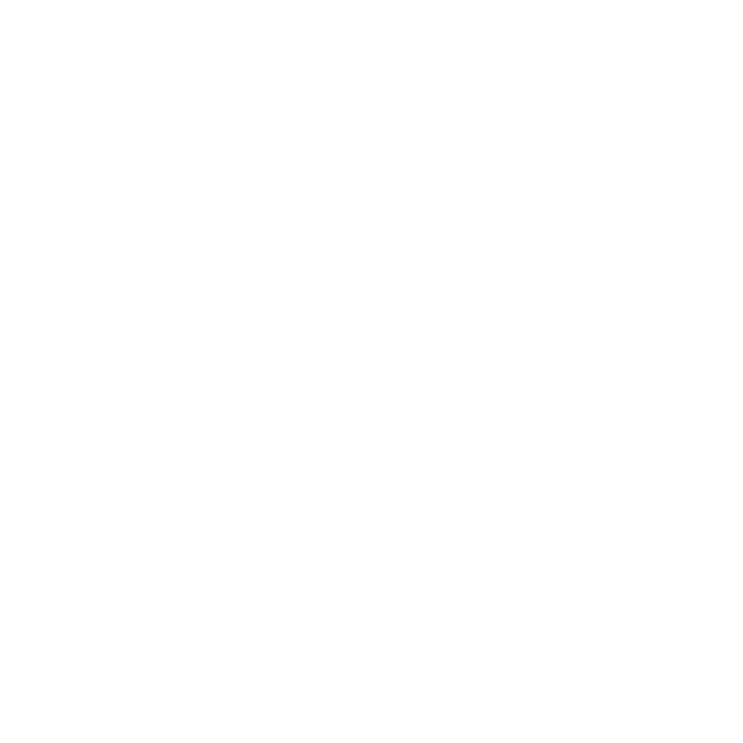 Fuerzacustoms