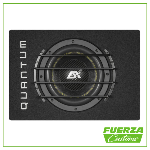 ESX QXB10 Passive Enclosure